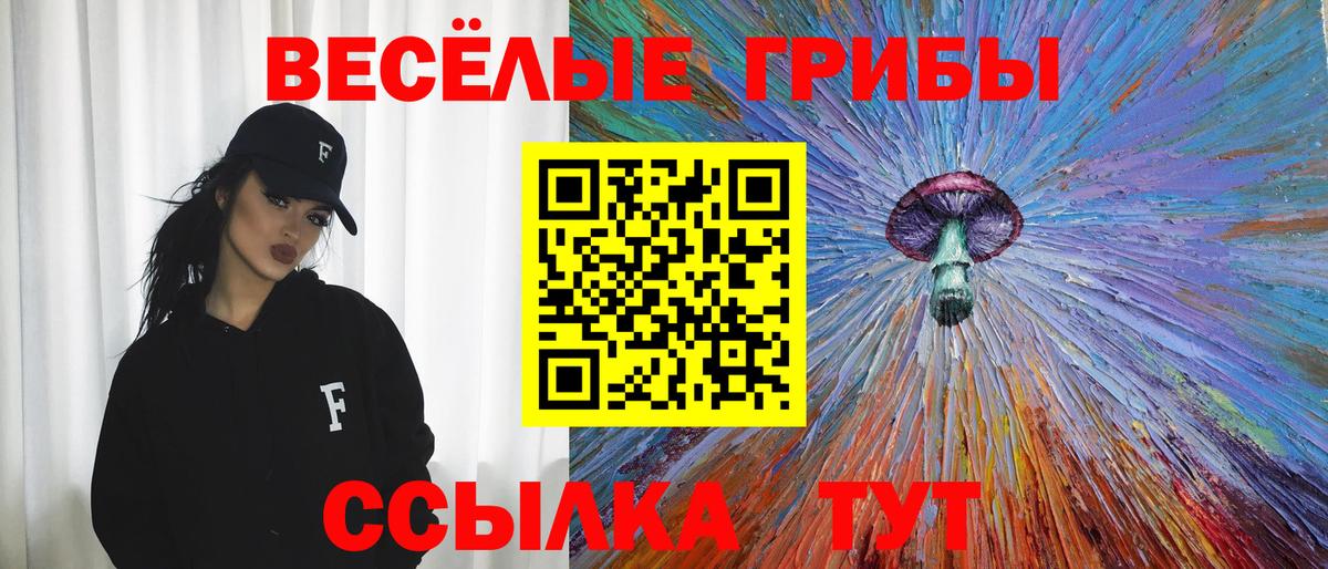 Галлюциногенные грибы Cubensis Искитим