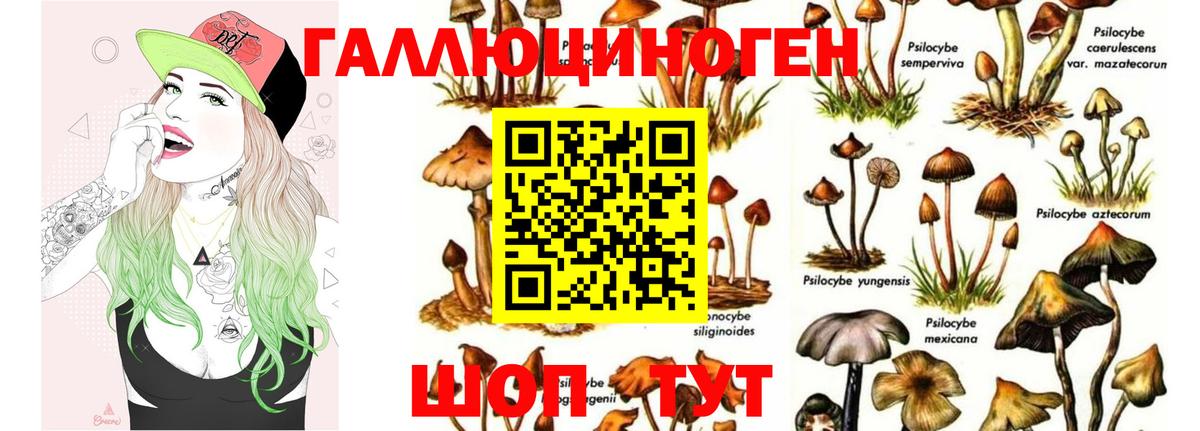 купить наркоту  Вход с VPN  Искитим  Галлюциногенные грибы Psilocybe 
